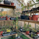 Petite serre de jardin Lams ALLIUM 2,50 m²