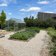 Serre de jardin Lams LAURUS 12,90 m²